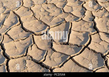 Trockene, rissige Boden; Okinawa, Japan Stockfoto