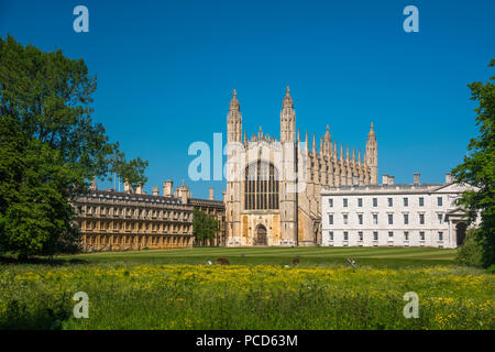 Die Rückseiten, King's College, King's College Chapel, Cambridge, Cambridgeshire, England, Vereinigtes Königreich, Europa Stockfoto