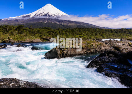 Petrohue Stromschnellen, schneebedeckte, konische Vulkan Osorno, Vicente Perez Rosales National Park, Spring, Lakes District, Chile, Südamerika Stockfoto