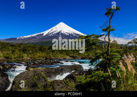 Petrohue Stromschnellen, schneebedeckte, konische Vulkan Osorno, Vicente Perez Rosales National Park, Spring, Lakes District, Chile, Südamerika Stockfoto