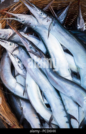 (Needlefish Belonidae sp.) in einem Korb am Morgen Fischmarkt am Ufer des Flusses Chhu Preaek Tuek Kampot Stadt, Kambodscha Stockfoto