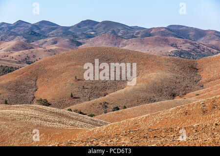 Kahlen orange Hügel im Ikara-Flinders Ranges National Park, South Australia Stockfoto