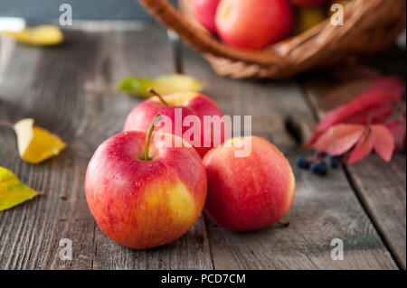 Schließen Sie herauf frische reife Bio rote Äpfel mit Wassertropfen auf der rustikalen Holztisch. Platz für Text. Selektive konzentrieren. Herbst Ernte Konzept. Vegetaria Stockfoto