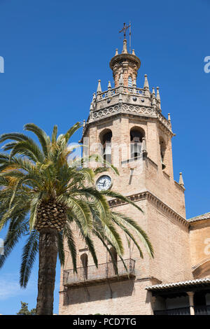 Palm Tree und Turm der Iglesia de Santa Maria la Mayor, Ronda, Andalusien, Spanien, Europa Stockfoto