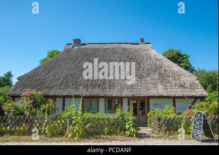 Freistehendes Haus mit Strohdach am Kap Arkona, Putgarten, Rügen, Mecklenburg-Vorpommern, Deutschland, Europa Stockfoto