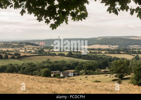 Waldspaziergang unter den Bäumen im Wald an der Wrekin in Telford, Shropshire, Großbritannien Stockfoto