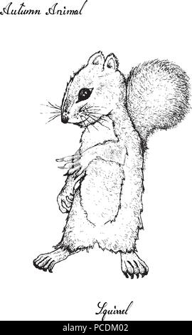 Herbst Tier, Illustration Hand gezeichnet von Eichhörnchen isoliert auf weißem Hintergrund. Symbolische Tier zu zeigen die Zeichen der Herbstsaison. Stock Vektor