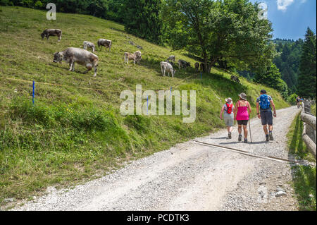 Wanderer auf einer ziemlich land Schotter Bergweg, Italien. Stockfoto
