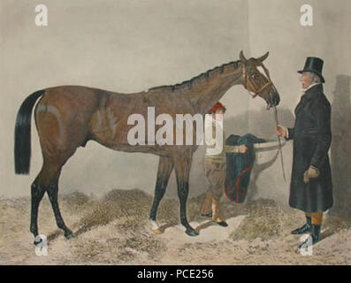 562 Sir Tatton Sykes (Pferd) Stockfoto