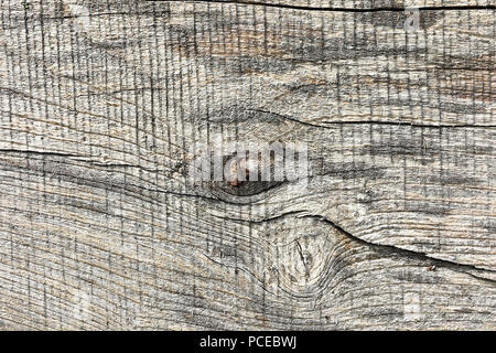 Ulmenholz plank Oberfläche, echten Textur für Ihr Design Stockfoto