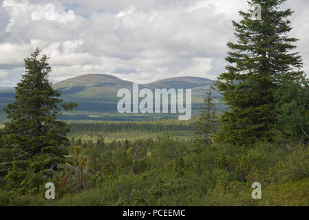 Fiel in Pallastunturi Nationalpark Pallas-Yllästunturi, Muonio, Lappland, Finnland Stockfoto