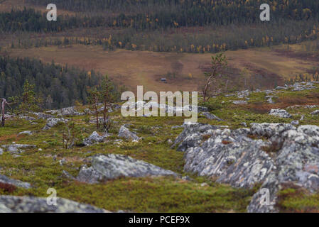 Alte Scheune aus fiel in Lommoltunturi Pallas-Yllästunturi-Nationalpark, Muonio, Lappland, Finnland Stockfoto