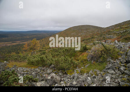 Fiel in Lommoltunturi Pallas-Yllästunturi-Nationalpark, Muonio, Lappland, Finnland Stockfoto