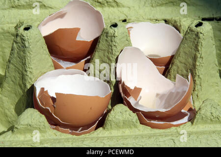 Gebrochene Eierschalen. Knickeier. Gebrochene Eier. Stockfoto