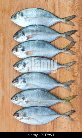 Yellow Tail Scad Fisch, Decapterus Fisch, auf einer Holzplatte Stockfoto