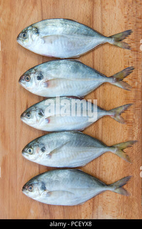 Yellow Tail Scad Fisch, Decapterus Fisch, auf einer Holzplatte Stockfoto