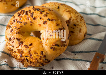 Hausgemachte gerösteten Zwiebel Bagels zum Frühstück Brunch Stockfoto