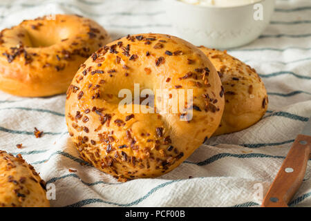 Hausgemachte gerösteten Zwiebel Bagels zum Frühstück Brunch Stockfoto