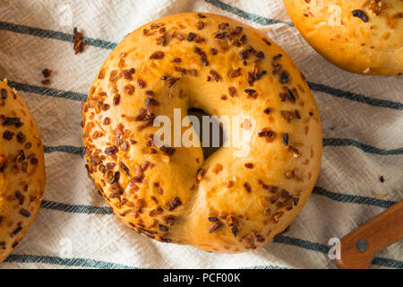 Hausgemachte gerösteten Zwiebel Bagels zum Frühstück Brunch Stockfoto