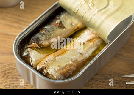 Organische salzige Sardinen in Olivenöl Stockfoto