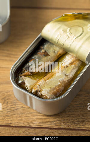 Organische salzige Sardinen in Olivenöl Stockfoto