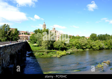 Neue Kathedrale von Salamanca aus dem Puente Romano (Römische Brücke) und des Río Tormes (Fluss Tormes), in Salamanca, Spanien. Stockfoto