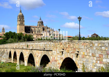 Neue Kathedrale von Salamanca aus dem Puente Romano (Römische Brücke) und des Río Tormes (Fluss Tormes), in Salamanca, Spanien. Stockfoto