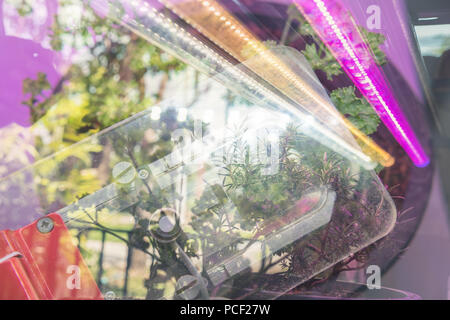 Kohlendioxid Messgert fr die Messung der Photosynthese der Pflanzen mit knstlichem  Licht LED Stockfotografie - Alamy