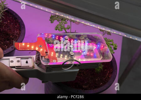 Kohlendioxid Messgert fr die Messung der Photosynthese der Pflanzen mit knstlichem  Licht LED Stockfotografie - Alamy