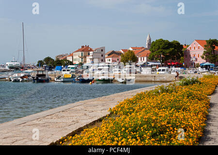 Hafen, Biograd na Moru, Dalmatien, Kroatien, Port Stockfoto