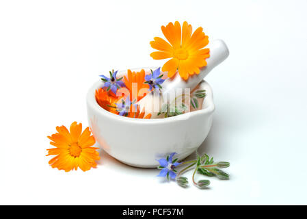 Und ringelblumenblueten Borretschblueten in Reibschale, Gemeine Ringelblume, Calendula officinalis, Borretsch, Borago officinalis Stockfoto