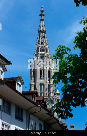 Berner Münster, Bern, Kanton Bern, Schweiz, Europa, Berner Münster Stockfoto