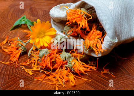 Getrocknete Ringelbumenblueten in Saeckchen, Calendula officinalis, Gemeine Ringelblume Stockfoto