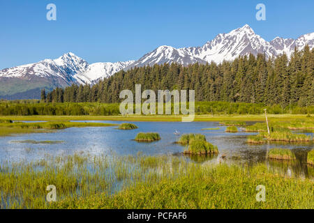 Die schneebedeckten Berge in Teichen in der Nähe von Seward auf der Kenai Halbinsel in Alaska widerspiegelt Stockfoto