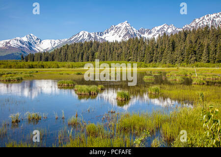 Die schneebedeckten Berge in Teichen in der Nähe von Seward auf der Kenai Halbinsel in Alaska widerspiegelt Stockfoto