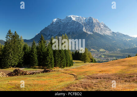 Blick auf die Zugspitze auf einem herbstmorgen von Grubigstein, Lermoos, Tirol, Österreich Stockfoto