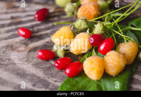 Gelbe Himbeere und cornel Früchte mit treibt auf alten strukturierte Holz- Hintergrund. Organische Beeren Nahaufnahme. Frische weiße Himbeere und hartriegel Reif. Stockfoto
