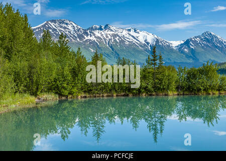Bäume refleting in ruhigen türkisfarbenen Wasser der oberen Spur See in Moose Pass auf der Kenai Halbinsel in Alaska Stockfoto