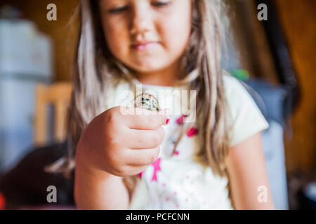 Kleines Mädchen hält in den Händen Baby Wachtel auf Geflügel Farm Stockfoto