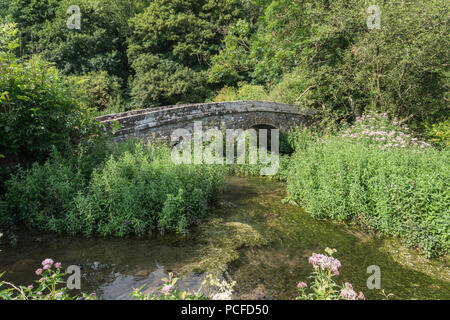 Der Fluss Lathkill durch die Derbyshire Dale im englischen Peak District National Park, England, Großbritannien Stockfoto