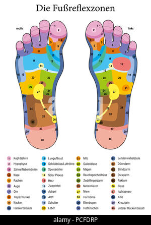 Fußreflexzonenmassage. Deutsche Namen. Alternative Akupressur und Physiotherapie Gesundheit Behandlung. Zone massage Chart mit farbigen Bereichen. Stockfoto
