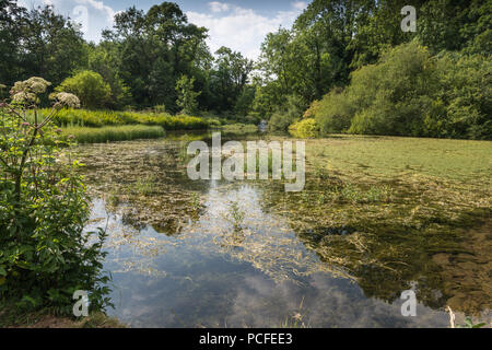 Der Fluss Lathkill durch die Derbyshire Dale im englischen Peak District National Park, England, Großbritannien Stockfoto