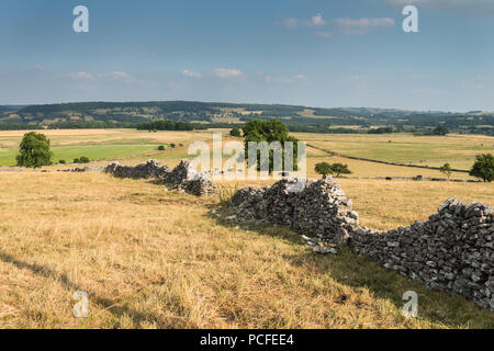 Eine Trockenmauer über einem Feld in der Grafschaft Derbyshire Peak District National Park in England, Großbritannien. Stockfoto