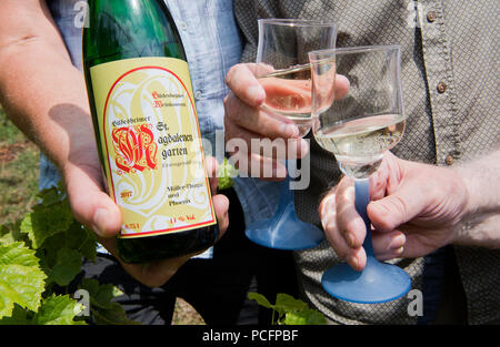 Hildesheim, Deutschland. Juli 31, 2018. Winzer aus der Hildesheimer Wein Kloster präsentieren eine 2017 vintage Wein im Weinberg im Garten der Magdalena Kloster. Der Weinberg mit 99 Reben wurde 1995 gepflanzt. Im sonnigen Jahr, das kleine Wein Kloster erwartet einen Ertrag von 200 Flaschen. Credit: Julian Stratenschulte/dpa/Alamy leben Nachrichten Stockfoto