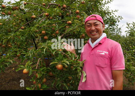 Seiichi Sato Präsident der Marusei Obst Farm posiert für ein Foto neben einem Apfelbaum während des ''1000 km Relais zu Tokyo 2018 '' Promotion Event in Fukushima am 2. August 2018, Japan. Die jährliche Veranstaltung, die von der Tokyo Metropolitan Government, Tokyo Sports Association und Tokio Athletic Association organisiert präsentiert die Wiederherstellungsmaßnahmen in Tohoku, der von der 2011 grossen Osten Japan Erdbeben betroffen. Die 15-Tage-Relais von Aomori Präfektur Tokio ist in kurzen 1-2 km Segmente aufgeteilt maximale Beteiligung zu fördern. Credit: Rodrigo Reyes Marin/LBA/Alamy leben Nachrichten Stockfoto