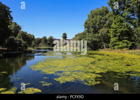 St James's Park, London, UK, 2. August 2018. Den See und die Grünanlagen im St James's Park befinden sich in einer wunderschönen Sommer Sonnenschein, da die Temperaturen wieder in Central London Aufstieg gebadet. Credit: Imageplotter Nachrichten und Sport/Alamy leben Nachrichten Stockfoto