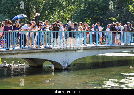 St James's Park, London, UK, 2. August 2018. Touristen Menge auf die blaue Brücke, eine Fußgängerbrücke über den See. Touristen und Wildlife suchen Atempause von den heißen Temperaturen in London in der Nähe des Sees in St. James's Park entfernt. Credit: Imageplotter Nachrichten und Sport/Alamy leben Nachrichten Stockfoto