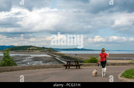 Cramond, Edinburgh, Schottland, Vereinigtes Königreich, 2. August 2018. Eine Frau, die Eis durch ihre Hunde mit einem Blick auf den Damm nach Cramond Insel gefolgt Stockfoto