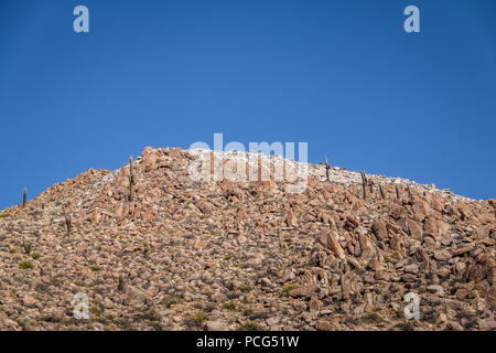 Santa Rosa de Tastil Dorf Berge und Cardones Kaktus - Santa Rosa de Tastil, Salta, Argentinien Stockfoto