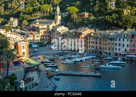 Am frühen Morgen Blick über den Hafen von Portofino, Ligurien, Italien Stockfoto